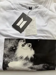 BTS 公式グッズ テテ Layover Tシャツ 半袖 ヨンタン 綿100％M - メルカリ