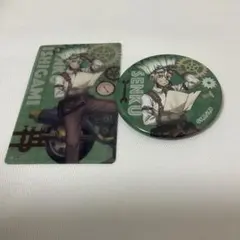 Dr.STONE ツーリング 石神千空 缶バッジ クリアカード