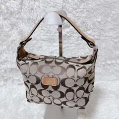 COACH シグネチャー アクセサリーポーチ 6348 - メルカリ
