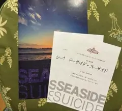 bpm シーサイド・スーサイド パンフレット 浅沼晋太郎 野津山幸宏