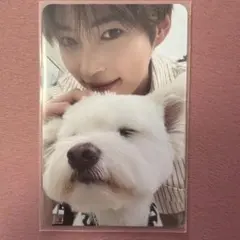 zb1 never say never デジパ　レオ　ハンビン