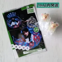 スキズ SKZOO めじるしアクセサリー フォクシニー カード付