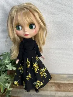 ネオブライスサイズ洋服