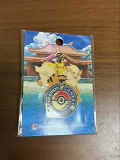 2026年最新】ポケモンセンターオキナワ ピンズの人気アイテム - メルカリ