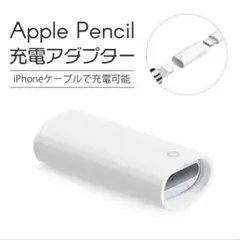 Apple Pencil 充電 アダプター 変換 USB ケーブル 用