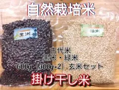 R7年 自然栽培米 掛け干し黒米ミックス&緑米ミックスセット600g