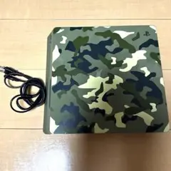 【あーす様専用】