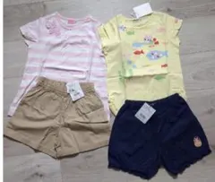 ホットビスケッツ　Tシャツとハーフパンツ　110