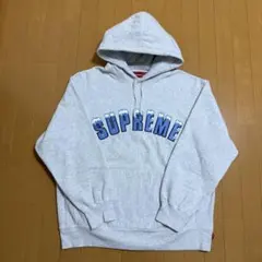 Supreme Icy Arc Hooded Sweatshirt L 20aw