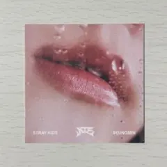 stray kids リノ リップカード ATE スキズ - メルカリ
