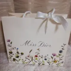 Dior ディオール ショッパー専用 ビニールバッグキット - メルカリ