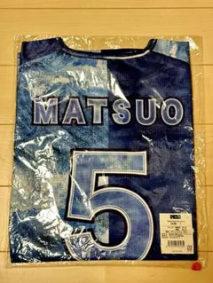 Item thumbnail for item e7b4d4c8-5a0c-44b9-9183-567d2857d294