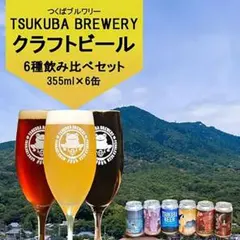 つくばブルワリー クラフトビール 6種飲み比べセット 355ml×6のサムネイル