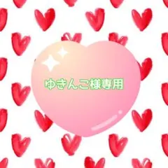 ゆきんこ様専用•*¨*•.¸♬︎