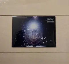 Mrs. GREEN APPLE フォトカ 大森元貴 ハーモニー 017