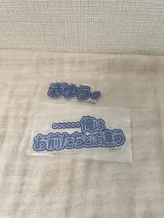 鬼滅の刃　fanfancy+　アクリルカードセット 冨岡義勇