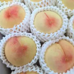 贅沢家庭用】⭐️岡山白鳳白桃3.75kg箱12~16個入り - メルカリ
