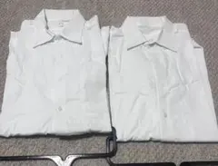 Item thumbnail for item 2a005293-127b-48ee-84f2-27f5685920a4