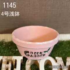 リメ鉢<1146 4号浅鉢 乙女心 多肉植物 寄せ植え シンプル 底穴大きめ
