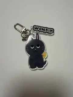 RIIZE ウォンビン うさにゃん キーホルダー - メルカリ