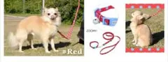 赤 ママラブパピー カラー＆リードセット 猫 首輪 お散歩 超小型犬 子犬のサムネイル