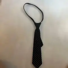 Item thumbnail for item 71e5defb-e84d-4a9e-a71b-24c9a6f82d03