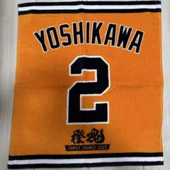 Item thumbnail for item 8264153a-35b0-4e7a-af4a-b64f7d71182b