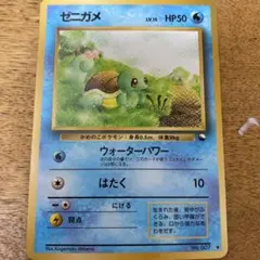 ゼニガメ イントロパック