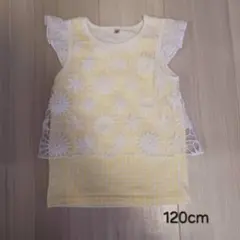 【子供服】120cm レース重ね着風Tシャツ