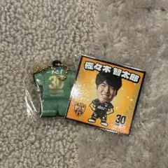 清水エスパルス 2026/7ラバーキーホルダー #30 佐々木智太郎選手
