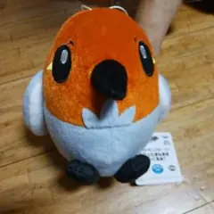 2025年最新】ポケモン ヤヤコマ ぬいぐるみの人気アイテム - メルカリ