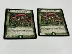 2026年最新】シビレアシダケ 初期の人気アイテム - メルカリ