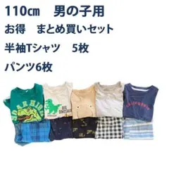 【まとめ買い】Tシャツ5枚＆パンツ6枚　110cm 男の子用　記名なし