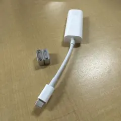 アップル 純正USB-C-Thunderbolt 2変換アダプタA1790