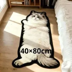 ラグドール　猫柄　猫型　マット　玄関マット　猫　ネコ　ねこ