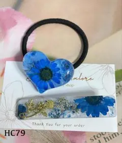 HC7９　ハンドメイド　ヘアゴム　レジン　押し花　ヘアクリップ　セット