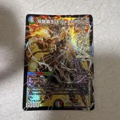 双龍覇王 モルトVERSUS