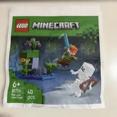 LEGO Minecraft The Lush Cave Fight 30705