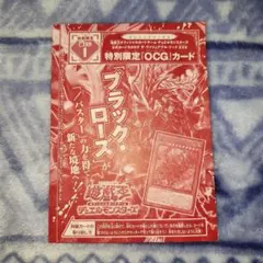 ブラック・ローズ・ドラゴン／バスター ザ・ヴァリュアブル・ブックEX6 匿名配送