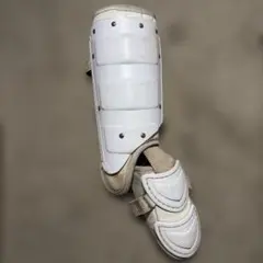 Item thumbnail for item 42950fe4-eca6-4035-a572-b019490b7152