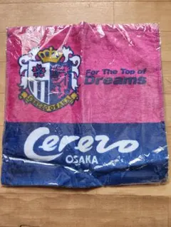 Item thumbnail for item 8fe4a2ad-9f82-4573-8460-a799550e8f1c