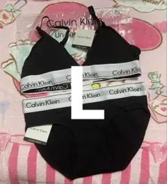 Lサイズ Calvin Klein ブラ＆ショーツ セット 新品のサムネイル