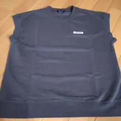 Item thumbnail for item a7e5b57b-4253-4488-a90e-46650c887496