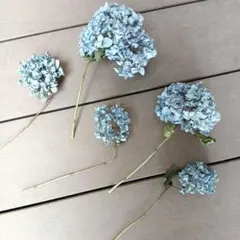 紫陽花 ドライフラワー くしゅくしゅ紫陽花10本 - メルカリ