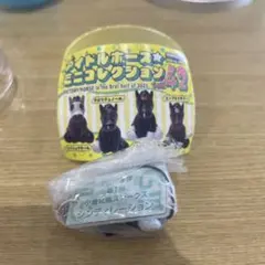 Item thumbnail for item 2685f3d9-de70-4562-8f13-f85e1a45820f