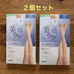 ２個セット　GUNZE 美ラク TL 3足入り ストッキング　ナチュラルベージュ