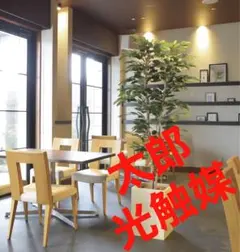 光触媒　人工観葉植物　フェイクグリーン　ウッドボックスベンジャミン1.8mのサムネイル