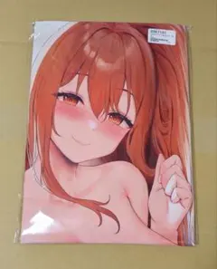 正規品 未開封 oekakizuki 抱き枕カバー 添い寝 甘園房 ゆかりママ