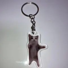 猫、アクリルキーホルダー