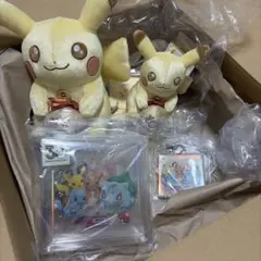 30周年記念ピカチュウぬいぐるみ アクリルブロックまとめ - メルカリ